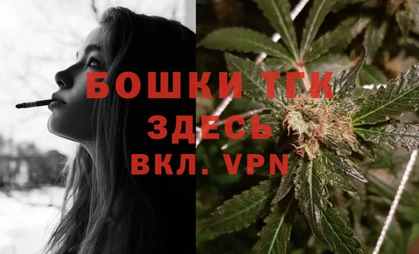 спиды Магас