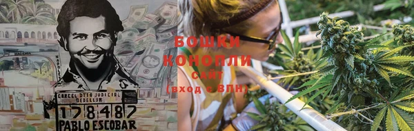 PSILOCYBIN Белокуриха